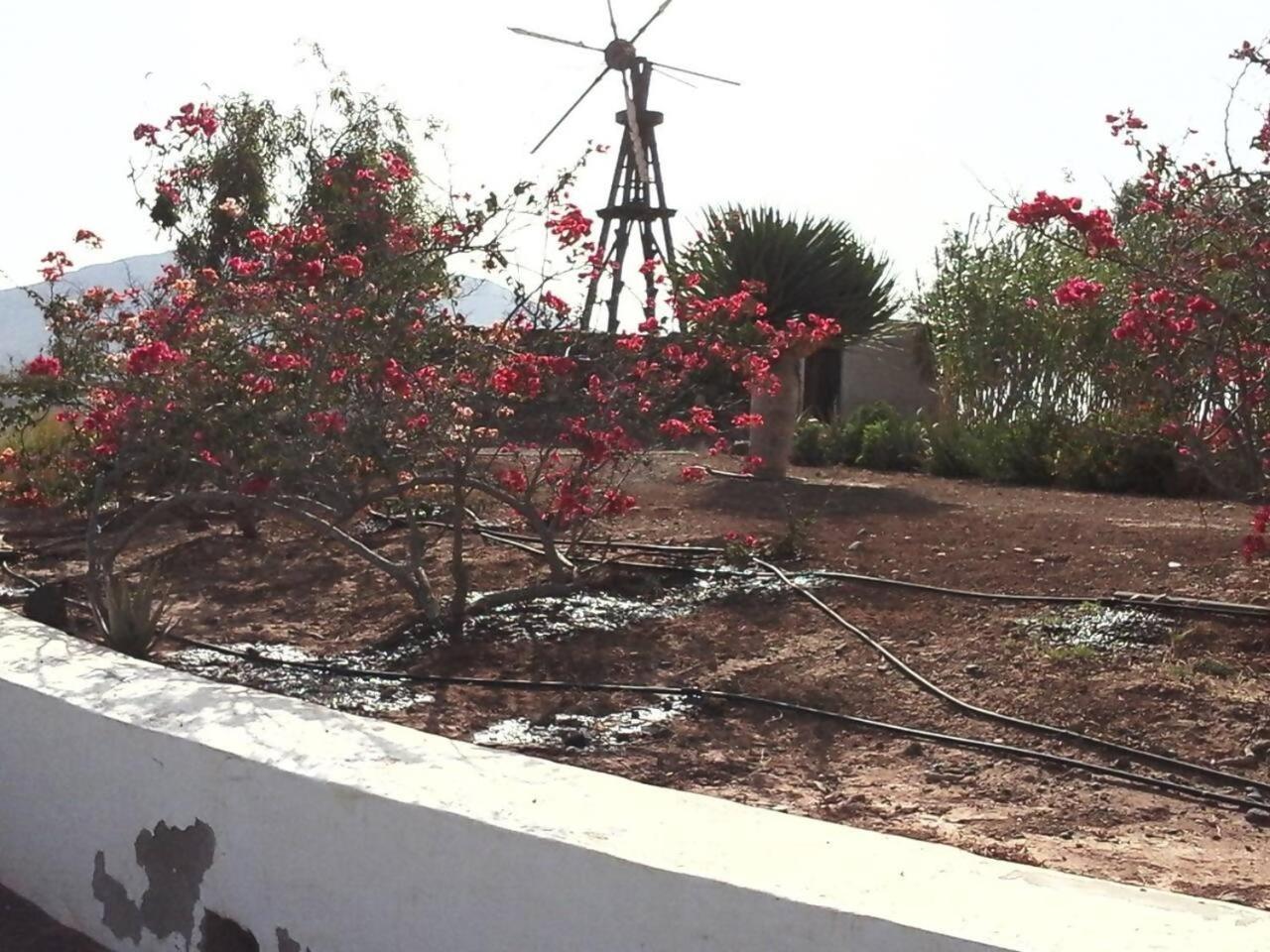 Rural Rugama Villa Puerto del Rosario  Kültér fotó